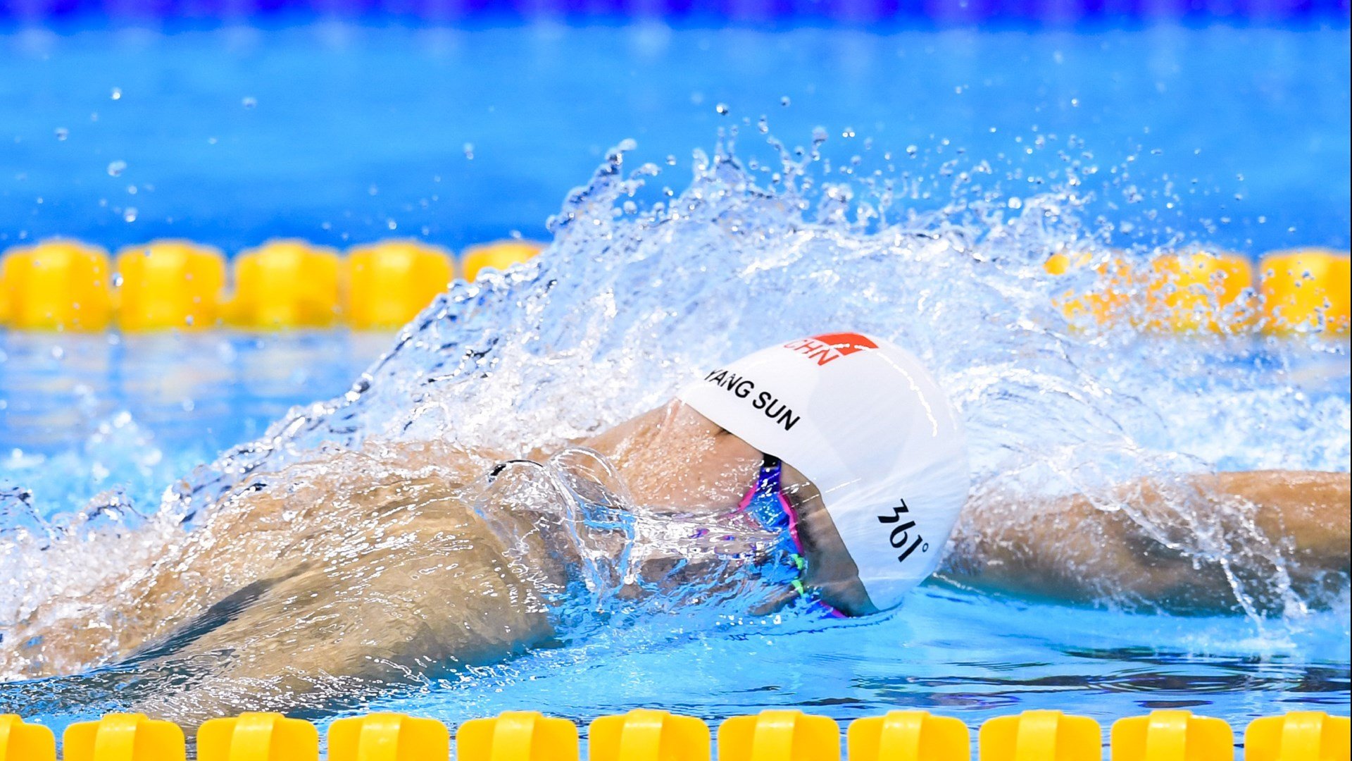 九游jiuyou-塞内加尔马术协会设立“Lamb”奖学金，支持传统马术研究。